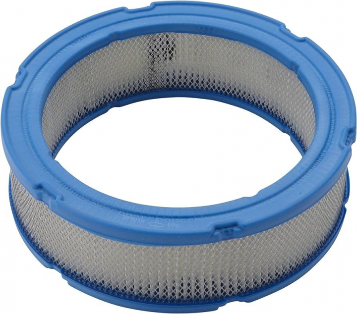 Filter i gruppen Reservdelar Gräsklippare / Reservdelar Briggs & Stratton / Filter Briggs & Stratton hos Gräsklipparbutiken (394018S)