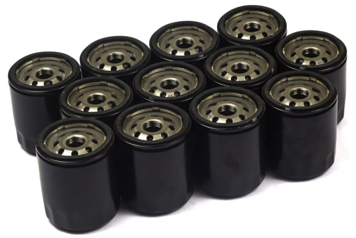 Oil-Filter (12 X 491056) i gruppen Reservdelar Gräsklippare / Filter till Gräsklippare / Oljefilter hos Gräsklipparbutiken (4153)
