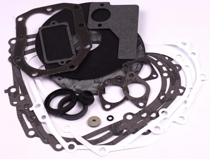 Packningssats i gruppen Reservdelar Gräsklippare / Reservdelar Briggs & Stratton hos Gräsklipparbutiken (492653)