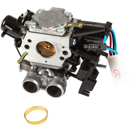 Carburettor Kit 60Cc i gruppen  hos Gräsklipparbutiken (5014633-05)