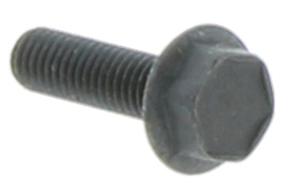 Skruv M6SF 5X18 i gruppen hos Gräsklipparbutiken (5032000-21)
