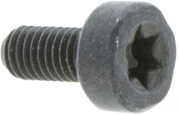 Skruv Torx D10, M5X10,5 i gruppen  hos Gräsklipparbutiken (5032153-10)