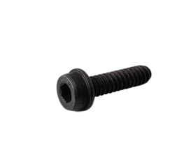 Screw 5032168-72 i gruppen  hos Gräsklipparbutiken (5032168-72)