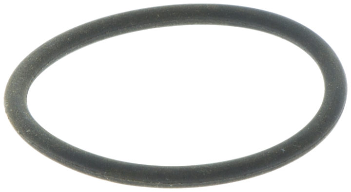 O-ring i gruppen  hos Gräsklipparbutiken (5032630-03)