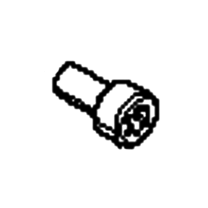 Skruv i gruppen  hos Gräsklipparbutiken (5041196-01)