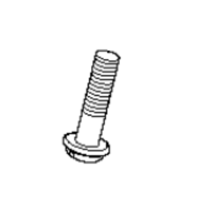 Screw i gruppen  hos Gräsklipparbutiken (5050472-01)