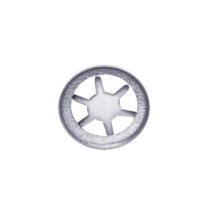 Lock Washer For Wheel i gruppen hos Gräsklipparbutiken (5204275-01)
