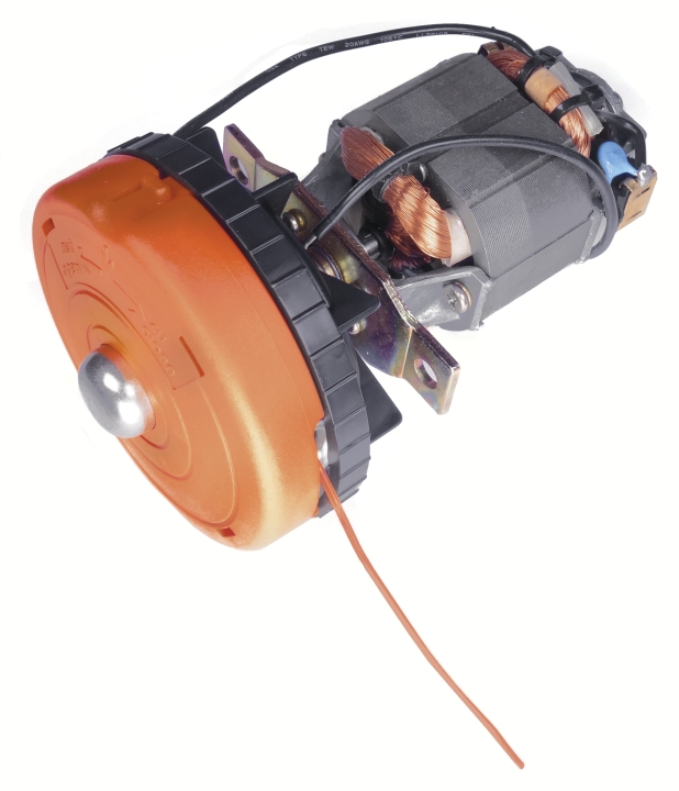 Electric Motor Cpl, i gruppen hos Gräsklipparbutiken (5204523-01)