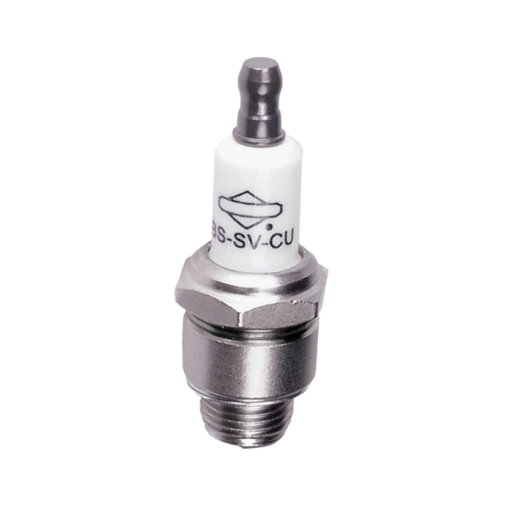 Plug i gruppen hos Gräsklipparbutiken (5205135-01)