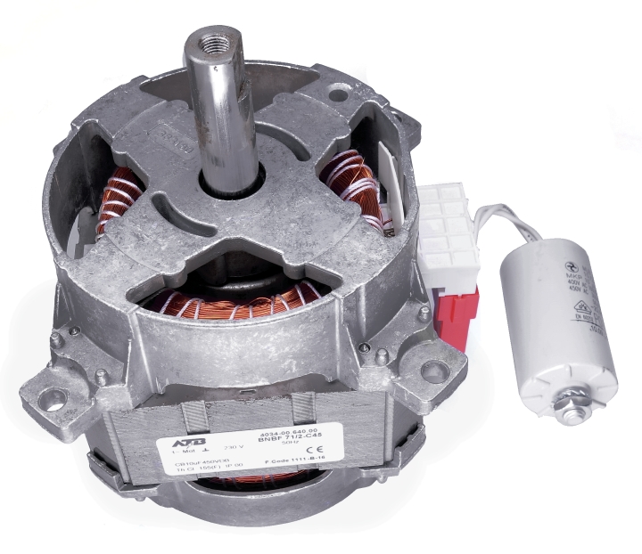 Electric Motor Cpl, i gruppen hos Gräsklipparbutiken (5205262-01)