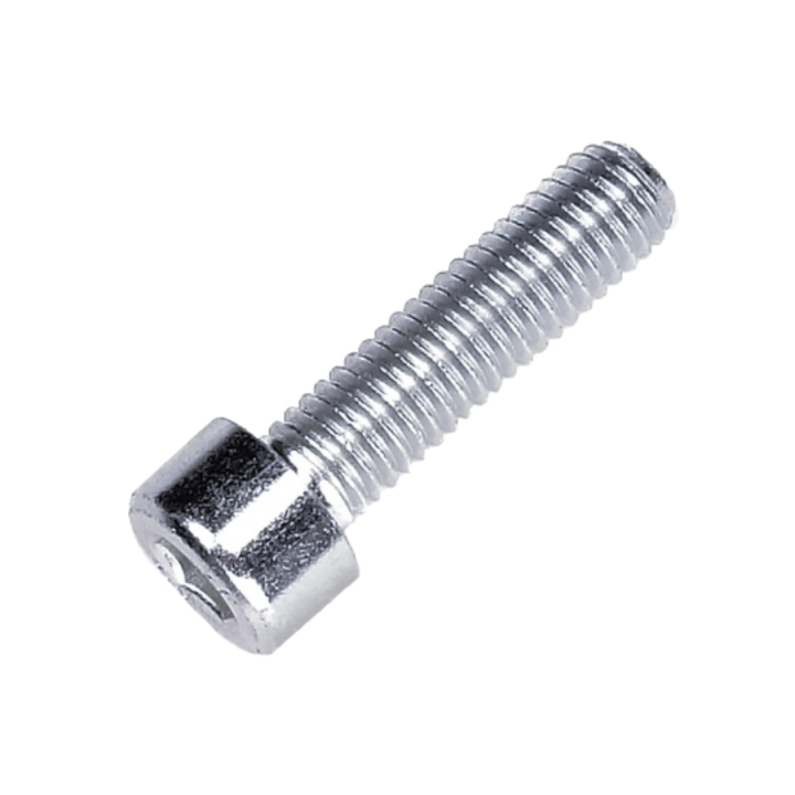 Cheese Head Screw M8X30 i gruppen hos Gräsklipparbutiken (5205404-01)