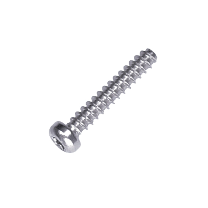 Screw i gruppen  hos Gräsklipparbutiken (5244312-01)