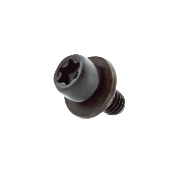 INTERNAL TORX SOCKET HEAD CAP, i gruppen  hos Gräsklipparbutiken (5258244-03)