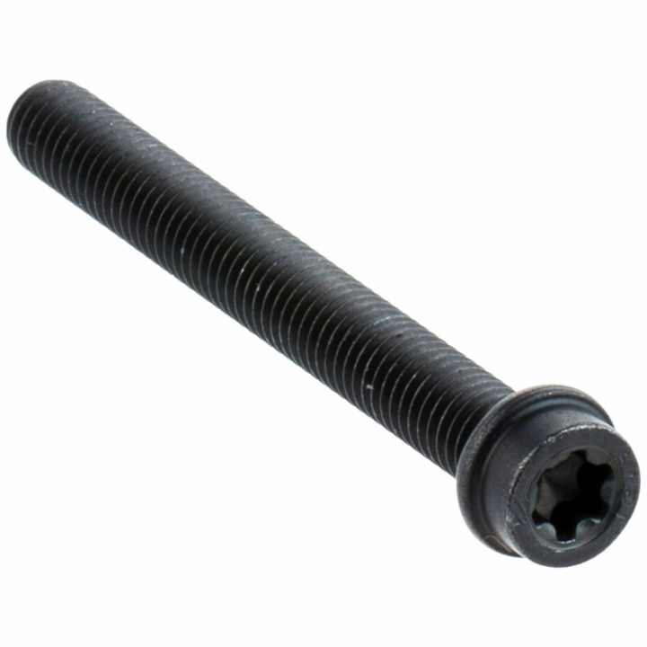 Skruv Itxscm M6X55 12,9 Tbo i gruppen  hos Gräsklipparbutiken (5258251-07)
