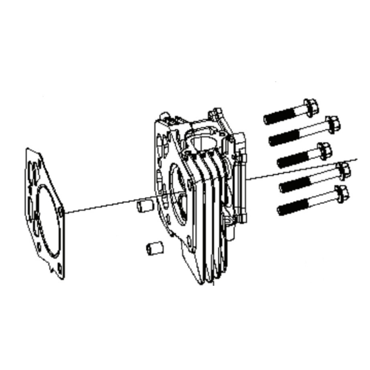 Cylinder Head Kit i gruppen Reservdelar Gräsklippare / Reservdelar Husqvarna Rider / Reservdelar Rider 214TC hos Gräsklipparbutiken (5311469-91)