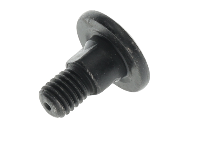 Screw i gruppen  hos Gräsklipparbutiken (5312403-01)