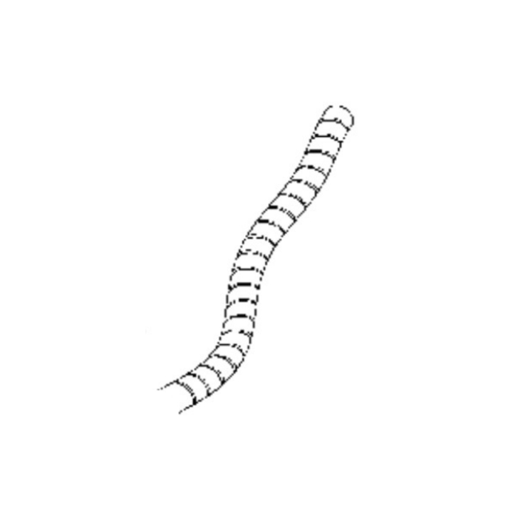 Slangskydd i gruppen Reservdelar Gräsklippare / Reservdelar Husqvarna Rider / Reservdelar Rider 320 AWD hos Gräsklipparbutiken (5440266-07)