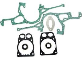 Gasket Kit i gruppen  hos Gräsklipparbutiken (5442298-09)