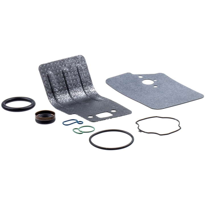 Kit Gasket 25Cc i gruppen hos Gräsklipparbutiken (5450818-32)