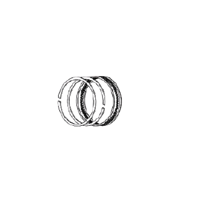 Piston Ring Set i gruppen hos Gräsklipparbutiken (5461906-01)