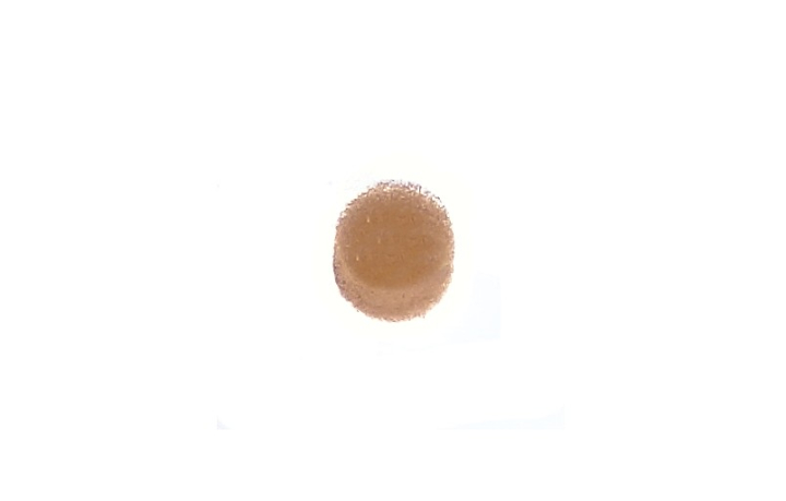 Tank Air Filter i gruppen  hos Gräsklipparbutiken (5758355-01)