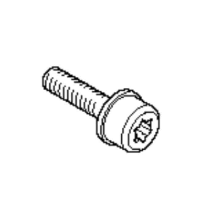 Screw M4-0,7X16Mm 4Stroke Pp i gruppen  hos Gräsklipparbutiken (5759626-01)