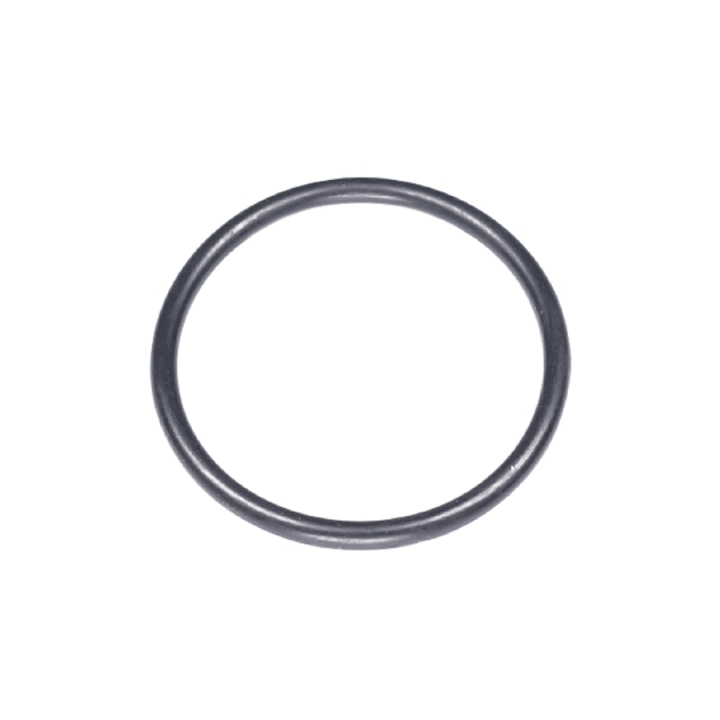 O-Ring i gruppen hos Gräsklipparbutiken (5787649-01)