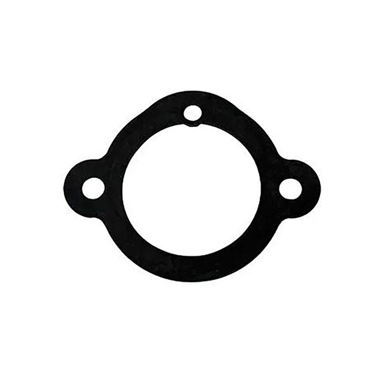 Gasket i gruppen  hos Gräsklipparbutiken (5798511-01)