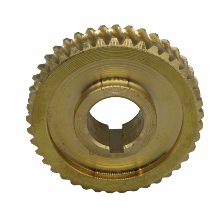 Snäcka i gruppen  hos Gräsklipparbutiken (5803641-01)