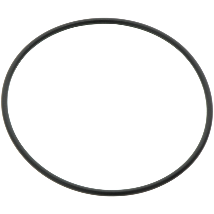 O-Ring i gruppen  hos Gräsklipparbutiken (5814519-01)