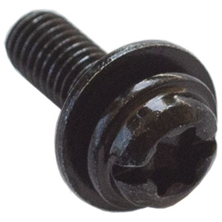 Skruv T27 5 X 0,8 X 14 i gruppen  hos Gräsklipparbutiken (5864965-01)