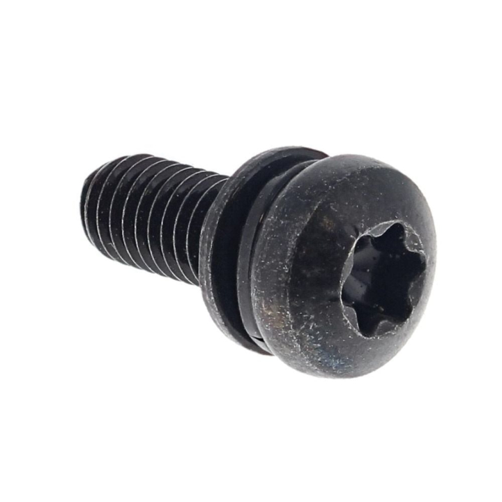 Skruv M5X13Torx i gruppen  hos Gräsklipparbutiken (5869028-01)