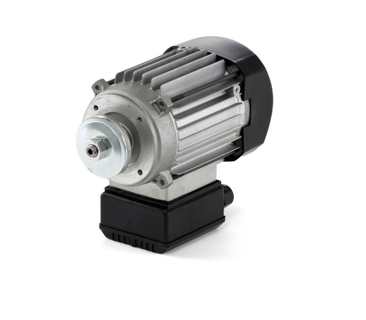 Motor Kit Ts 73 230V i gruppen  hos Gräsklipparbutiken (5889312-01)