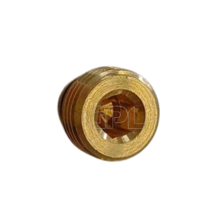 Plug With O-Ring i gruppen hos Gräsklipparbutiken (5926176-81)