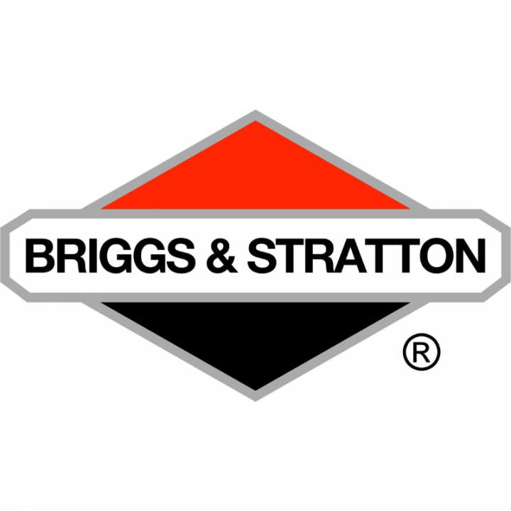 Regulatorfjäder i gruppen Reservdelar Gräsklippare / Reservdelar Briggs & Stratton / Förgasare Briggs & Stratton hos Gräsklipparbutiken (594506)