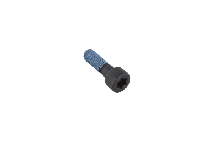 Screw Hexalobular Socket Pan H i gruppen hos Gräsklipparbutiken (5968761-01)