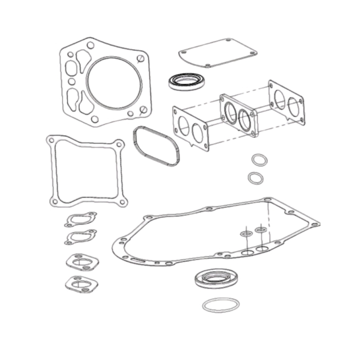Gasket Kit i gruppen Reservdelar Gräsklippare / Reservdelar Husqvarna Traktorer / ➤ TS modeller / Reservdelar Husqvarna TS 248 G hos Gräsklipparbutiken (5985994-01)