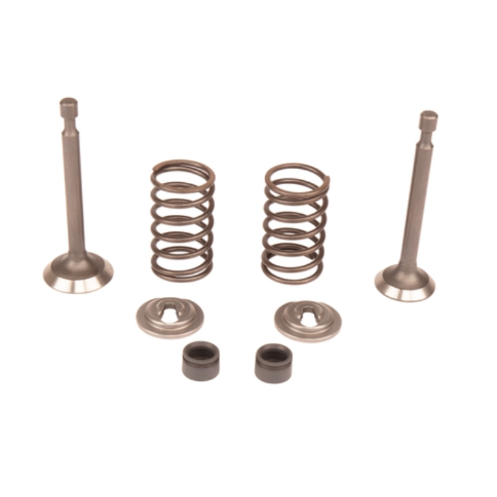 VALVE KIT i gruppen Reservdelar Gräsklippare / Reservdelar till Motorer / Reservdelar HS139A (970710101) hos Gräsklipparbutiken (5993490-42)