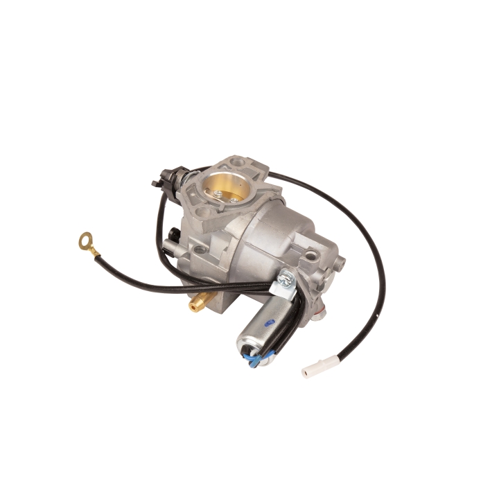 Carburettor i gruppen hos Gräsklipparbutiken (5993491-08)