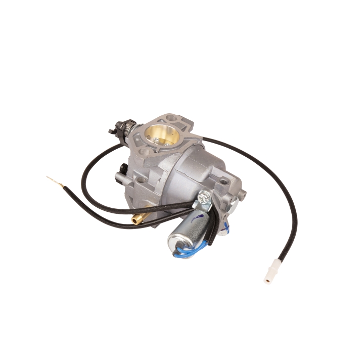 Carburettor i gruppen hos Gräsklipparbutiken (5993491-09)
