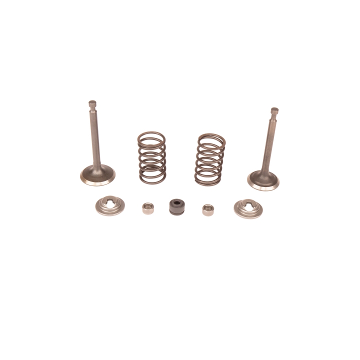 Valve kit rocker arm i gruppen hos Gräsklipparbutiken (5993492-49)