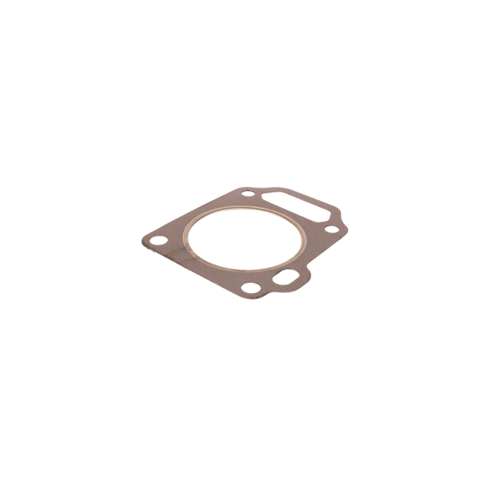 Cylinder head kit i gruppen hos Gräsklipparbutiken (5993493-05)