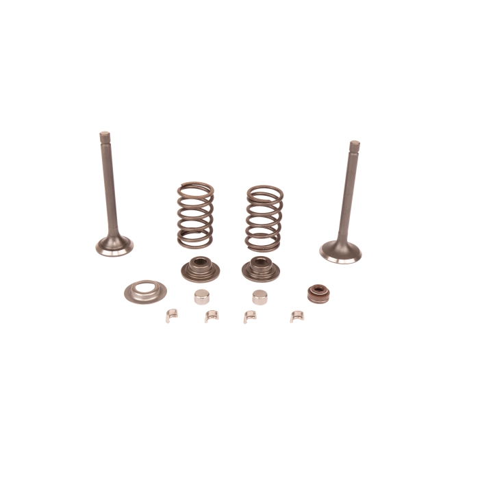 Valve kit i gruppen hos Gräsklipparbutiken (5993493-08)