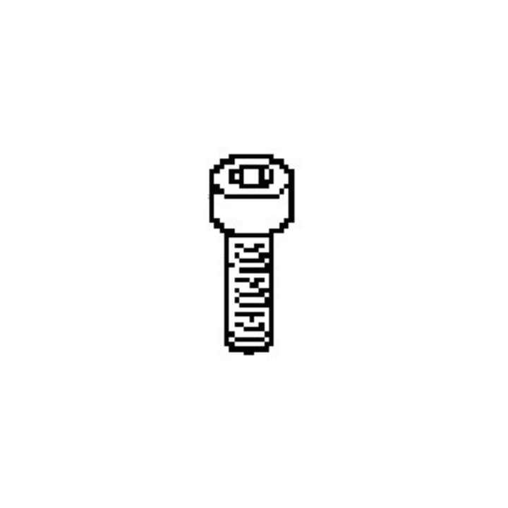 Screw 7255333-65 i gruppen Reservdelar Gräsklippare / Reservdelar Husqvarna Rider / Reservdelar Husqvarna P525DX hos Gräsklipparbutiken (7255333-65)