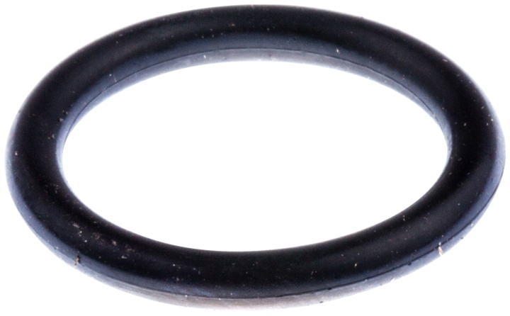 O-RING 15,3X2,4 i gruppen  hos Gräsklipparbutiken (7404313-00)