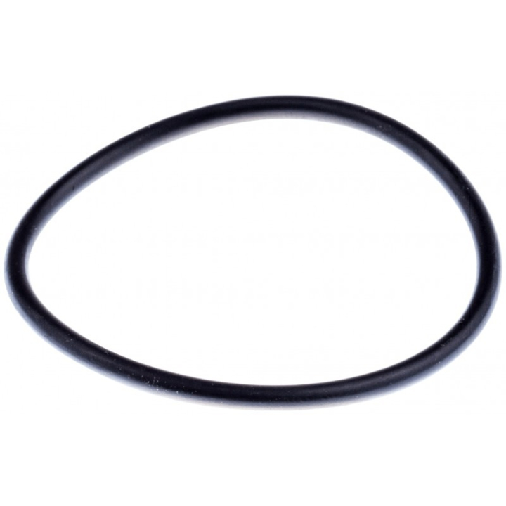 O-Ring i gruppen  hos Gräsklipparbutiken (7404416-00)