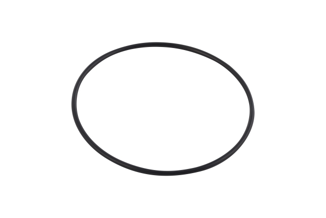 O-ring
