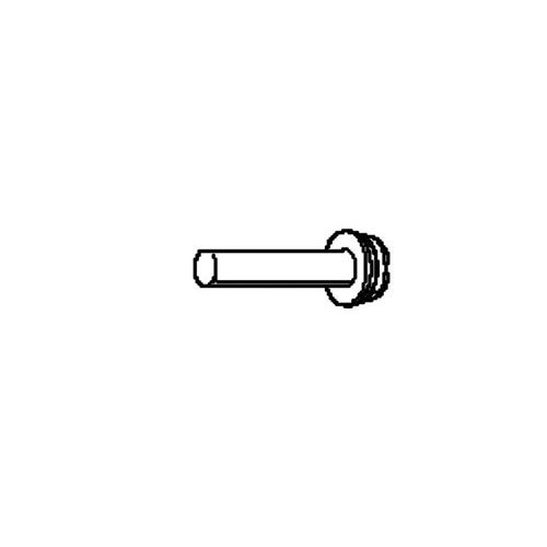 Screw