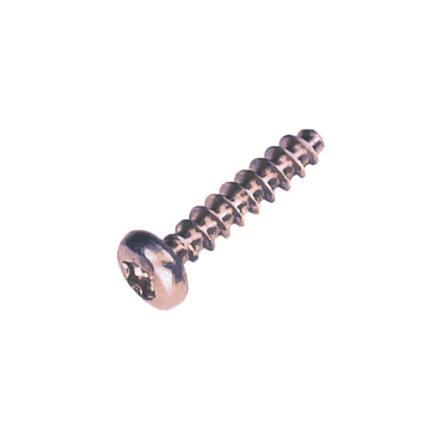Pt-Screw 40X18 T20