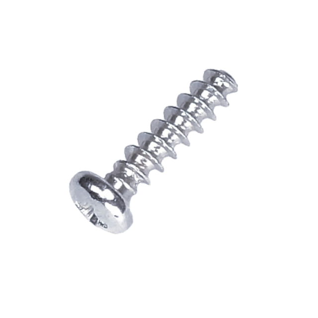 Slotted Head Screw